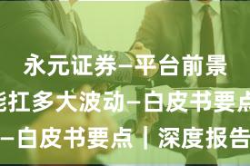 永元证券—平台前景—风控能扛多大波动—白皮书要点｜深度报告