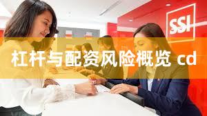 杠杆与配资风险概览 cd